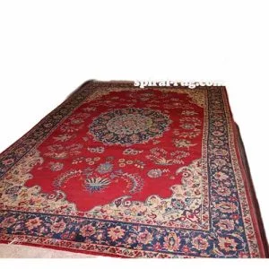 Isfahan's 9-meter old Kobleni