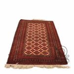 An old Turkmen farm and a half